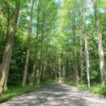 Thumbnail of related posts 046