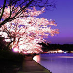 Thumbnail of related posts 034