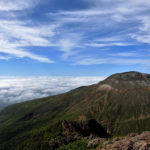 Thumbnail of post image 051
