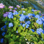 Thumbnail of post image 071