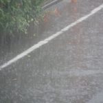 Thumbnail of post image 030