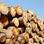Thumbnail of post image 037