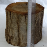 Thumbnail of related posts 051