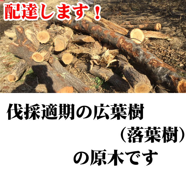 配達します！ 伐採適期の広葉樹（落葉樹）の原木です